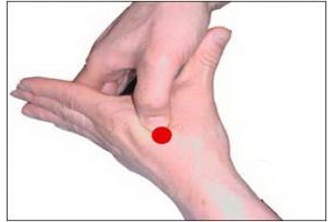 MÁY MASSAGE CĂNG DA MẶT THẨM MỸ BẰNG XUNG ĐIỆN CHÂM CỨU TRỊ LIỆU CAO CẤP